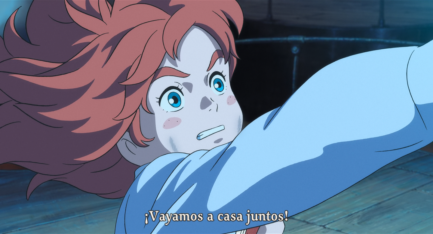 Mary y la flor de la bruja (Hoshizora)